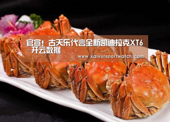 官宣！古天乐代言全新凯迪拉克XT6-开云数据