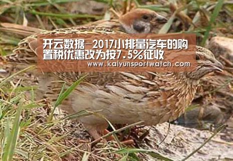开云数据-2017小排量汽车的购置税优惠改为按7.5%征收(图4) 开云平台