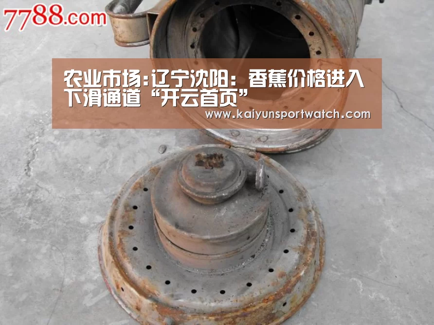 农业市场:辽宁沈阳:香蕉价格进入下滑通道“开云首页”(图2) 开云平台